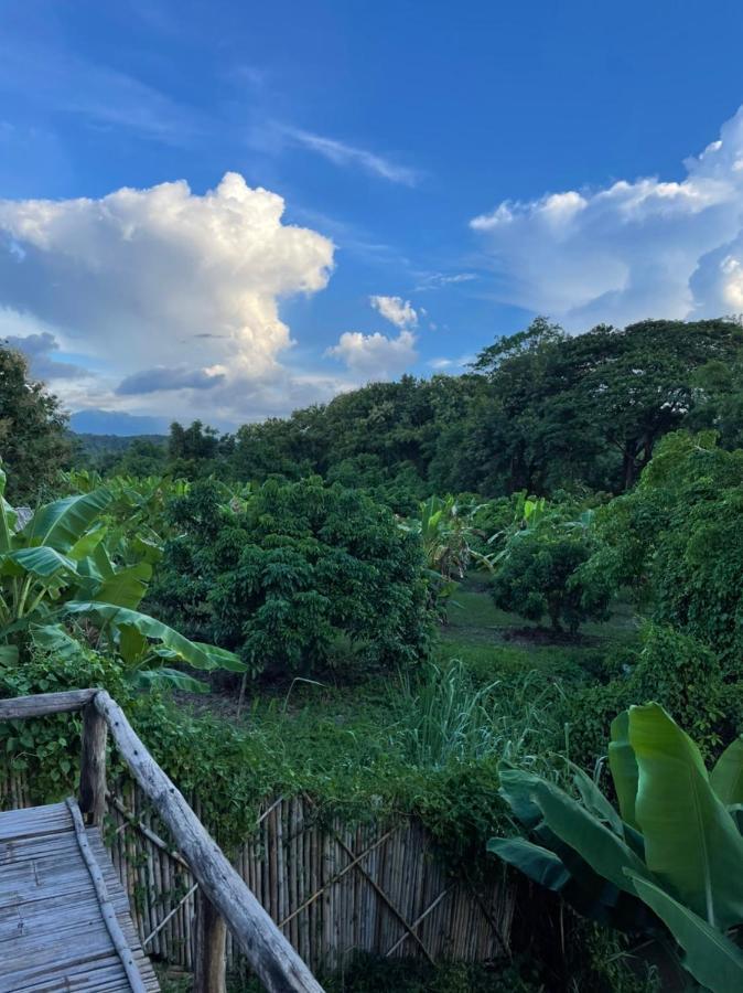 Chiang Dao Hostel Dış mekan fotoğraf