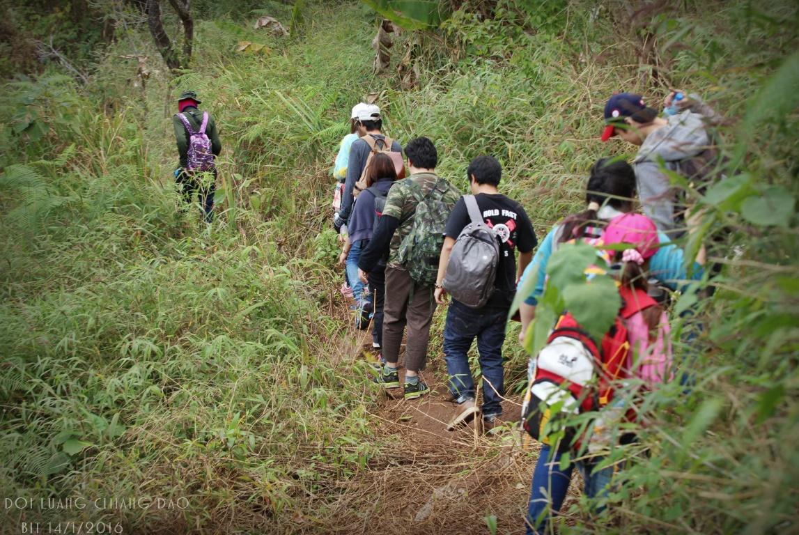 Chiang Dao Hostel Dış mekan fotoğraf