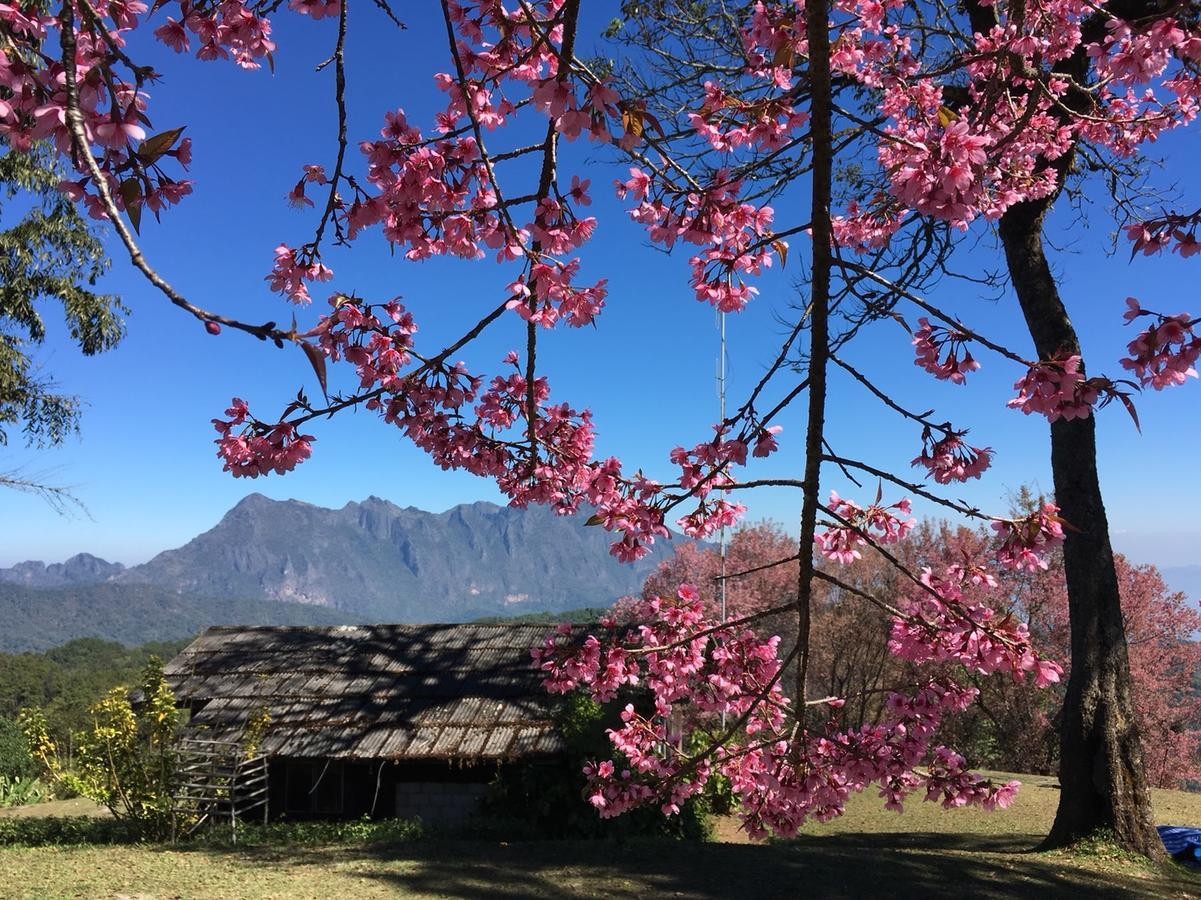 Chiang Dao Hostel Dış mekan fotoğraf