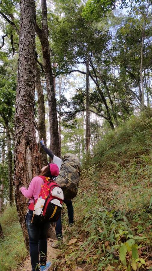 Chiang Dao Hostel Dış mekan fotoğraf